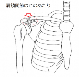 肩鎖関節部分2 肩鎖関節